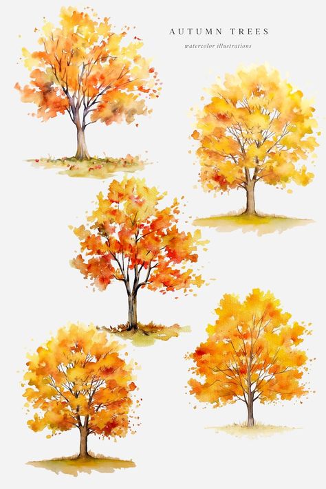 Watercolor Autumn Trees Clipart, Forest Tree, Fall Tree, Autumn Clipart, Fall Clipart, Watercolor Fall, Autumn Illustration, Watercolor Tree - Etsy Fall Tree Watercolor Painting, Trees Clipart, Fall Tree Painting, Tree Autumn, Tree Watercolor Painting, Autumn Clipart, Fall Clipart, Fall Tree, Autumn Illustration