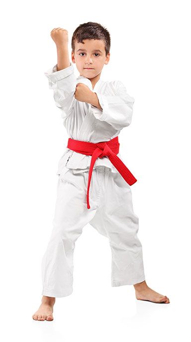 Karate Photoshoot, Karate Background, Karate Photos, Karate Picture, Taekwondo Kids, Martial Arts Photography, Kids Karate, Photo Sport, Martial Arts Kids