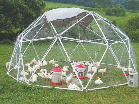 Zip Tie Dome Chicken Coop Doubles as Greenhouse - Grit Chicken Greenhouse, Dome Chicken Coop, Chicken Housing, Cheap Chicken Coops, Mobile Chicken Coop, Small Chicken Coops, Duck Coop, Portable Chicken Coop, Chicken Tractors