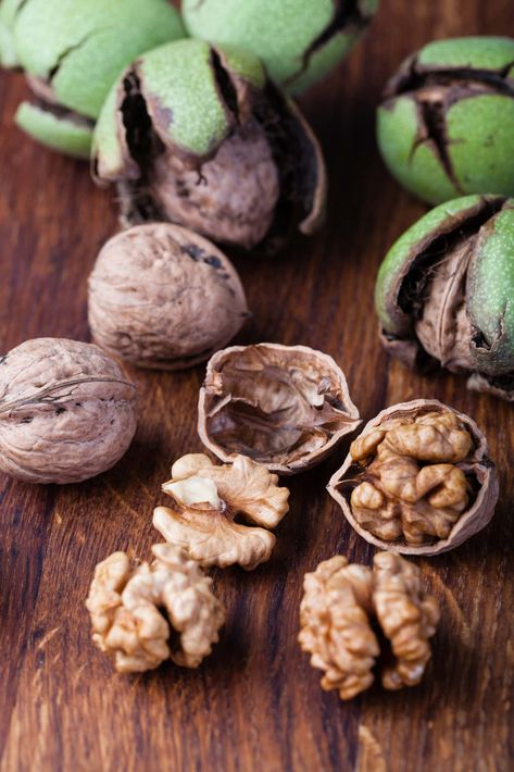 How Many Walnuts Should You Eat in a Day? Kitchen Cabinets Walnut, Painting Ideas Garden, Walnut Table Dining, Walnut Wood Flooring, Walnut Floating Shelf, Kitchen Walnut, Walnut Fruit, Pancakes Oatmeal, Walnut Kitchen Cabinets