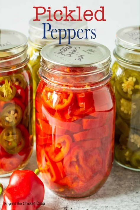 Pickled Peppers Canned Hot Peppers Recipes, Pickling Hot Peppers Recipe, Pickle Peppers, How To Pickle Peppers, Canning Hot Peppers, Pickled Sweet Peppers, Pickled Pepper Recipe, Pickled Hot Peppers, Hot Pepper Recipes