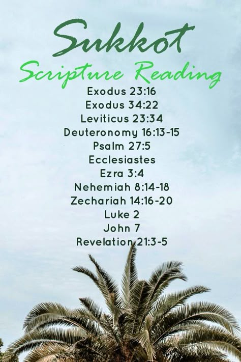 Scriptures to Read During Sukkot Scriptures To Read, Sukkot Crafts, Verses To Read, Sukkot Decorations, Sukkot Recipes, Biblical Feasts, Jewish Feasts, Feasts Of The Lord, Messianic Judaism