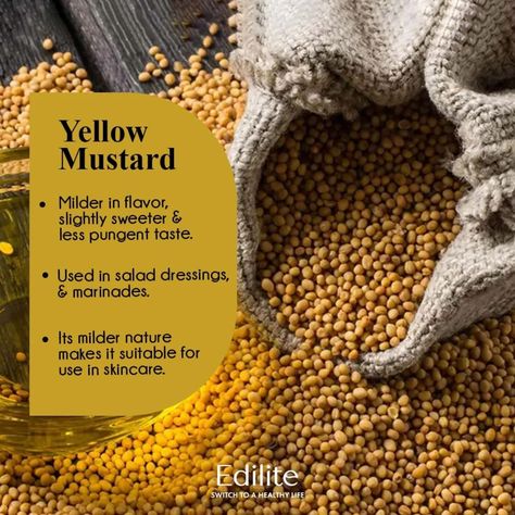 🌱✨ Mustard Seeds Unveiled! Ever wondered about the difference between yellow and black mustard seeds? Let’s explore their unique flavors, culinary uses, and health benefits. Discover which one suits your kitchen best! 💛 #Edilite#MustardSeeds#CulinaryKnowledge#ColdPressedMustardOil#HealthyCooking#FlavorfulCooking#MustardOilMagic#CulinaryDelights#naturalingredients Black Mustard Seeds, Mustard Seeds, Yellow Mustard, Mustard Seed, Yellow And Black, Healthy Cooking, Health Benefits, Healthy Life, Mustard