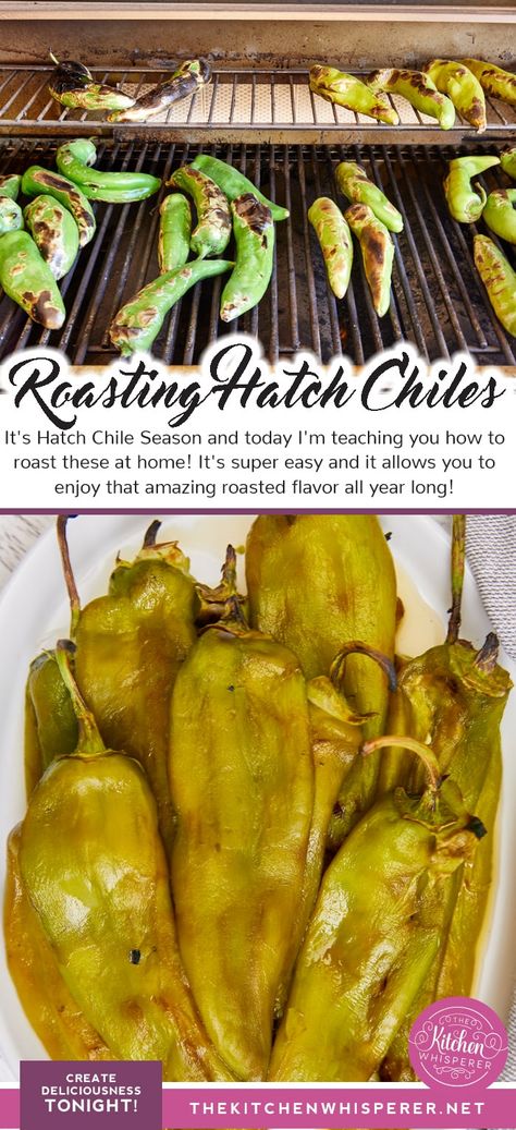 Roasted Hatch Chili Peppers Recipes, How To Roast Hatch Green Chiles, Roasting Hatch Green Chilis, How To Roast Green Chilis On The Grill, How To Roast Green Chiles, Fresh Green Chili Pepper Recipes, Roasted Hatch Peppers, Roasted Green Chiles, Roasting Green Chilis On The Grill