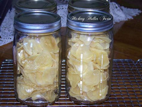 Hickery Holler Farm: Dehydrated Sliced Potatoes Homesteading Hacks, Dehydrate Potatoes, Dehydrating Food Storage, Dehydrating Recipes, Food Dehydration, Dehydrated Vegetables, Chicken Jerky, How To Store Potatoes, Canned Food Storage