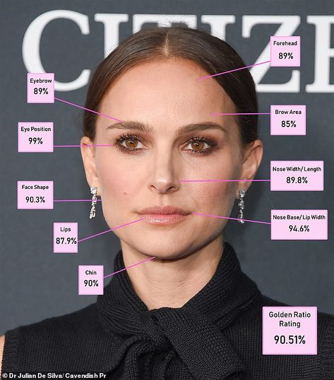 Surgeon using 'Golden Ratio' says Bella Hadid most beautiful woman Bella Hadid Nose, Deep Autumn Makeup, Face Proportions, Ariana Grande Images, Full Eyebrows, The Golden Ratio, Nose Shapes, Brow Shaping, Golden Ratio