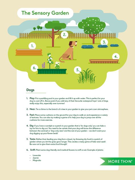 sensory garden Garden For Dogs, Dog Garden Ideas, Dog Sensory, Backyard Dog Area, Dog Friendly Garden, Dog Friendly Backyard, Dog Backyard, Dog Yard, Dog Playground