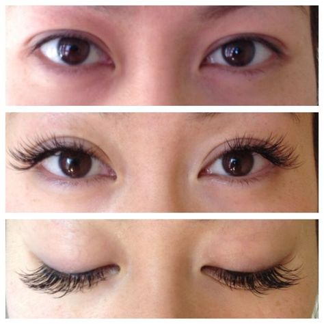 Lash extentions Eyelash Before And After, Lash Extensions Asian Eyes, Asian Lash Extensions, Eyelash Extension Removal, Eyelash Extensions Before And After, Eyelash Extensions Aftercare, Flutter Lashes, Natural Fake Eyelashes, Eyelash Extensions Styles