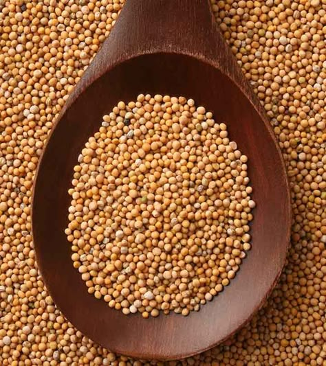 Mustard seed is an extremely nutritious & well known herb but it's often taken for granted. Find 10 best benefits of mustard seeds that you must know about Mustard Seed Benefits, Benefits Of Mustard, Raisins Benefits, Mustard Seed Oil, Honey And Warm Water, Lemon Peels, Aesthetic Health, Yellow Mustard Seeds, Tattoo Health