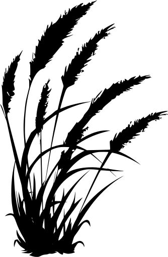 farm wheat farming grass - Free SVG Image & Icon. Plant Sillouhette, Farming Tattoo, Wheat Silhouette, Cricut Images Free Svg, Wheat Farming, Wall Silhouette, Free Svg Images, Plant Silhouette, Svg Images For Cricut