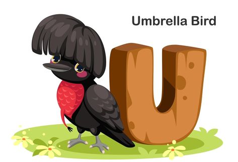 U for Umbrella bird U For Umbrella, Umbrella Bird, Bird Alphabet, Karate Boy, Zoo Phonics, School Planning, Underwater Background, Male Cartoon Characters, Old Lanterns