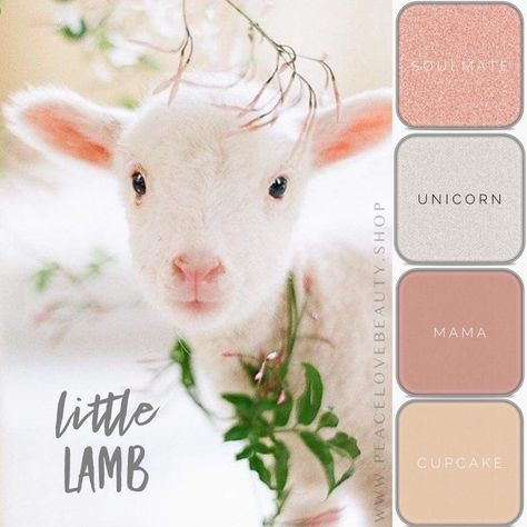 Lamb Cupcakes, Diy Eyeshadow, Beauty Eyeshadow, Maskcara Beauty, Spring Makeup, Easter Treats, Purim, Makeup Palette, Eyeshadow Looks