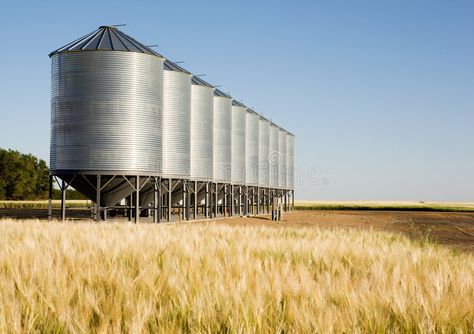 Grain Bins, Flour Mill Machine, Sports Food, Wheat Field, Wheat Fields, Maize, Depth Of Field, Facade Design, Nature Images