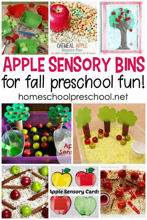 Wow! What a great collection of apple sensory bin ideas for preschoolers. They're perfect for your apples preschool theme. Apples Preschool Theme, Apple Sensory Bin, Apple Sensory, Preschool Harvest, Apple Theme Activities, Preschool Apple Activities, Sensory Bin Ideas, Preschool Apple Theme, September Preschool