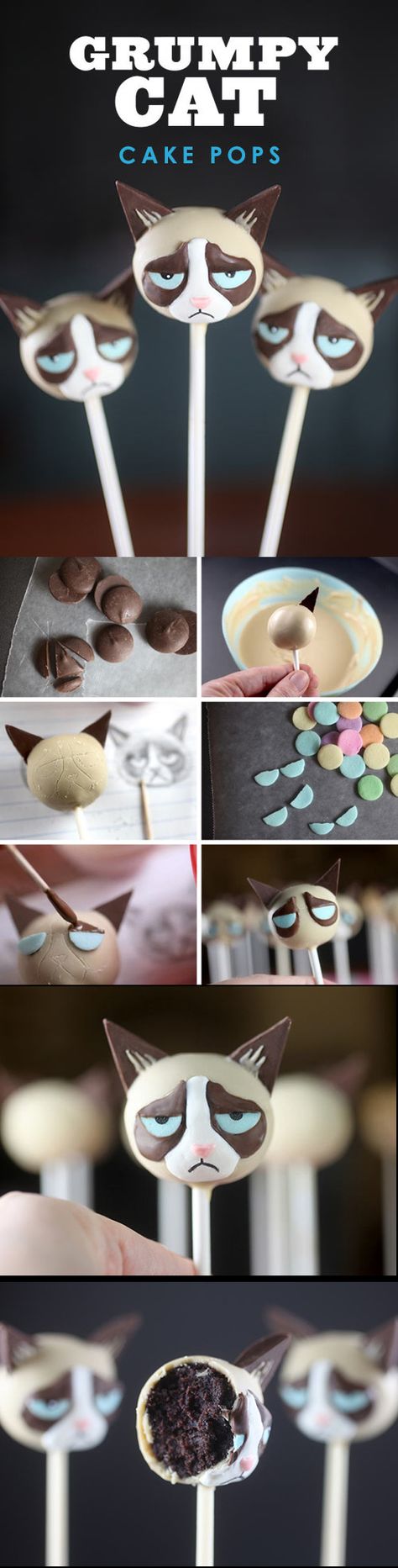 Omg!!!! Grumpy Cat cake pop awesomeness Cat Cake Pops, Cake Pops Ideas, Diy Cake Pops, Pop Cupcakes, Cake Pop Recipe, Cookie Pops, Cat Cake, Cake Balls, Food Cakes