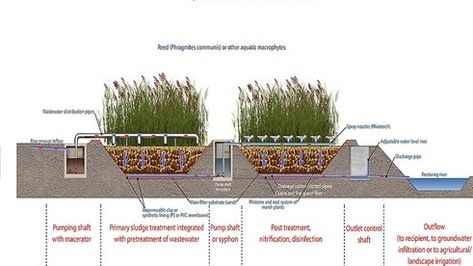 What is Constructed Wetland Technology in STP Plant Wetland Plants, Wetland Restoration Design, Wetland Landscape Design Plan, Wetland Biome, Ro Plant, Constructed Wetland, Process Flow Chart, Work Function, Wildlife Habitat