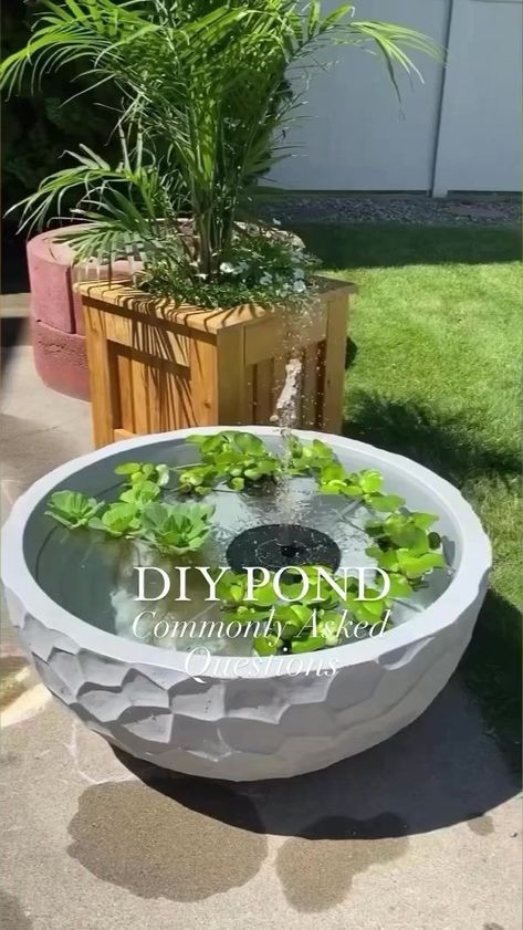 DIY Patio Pond: Most commonly asked questions, answered! 💦🌿 Follow Once Upon a Bungalow for more Home & DIY! 🛠️🏡#diy #patio #patiopond #pond #pondlife #patiodecor #patiodesign #deck #deckdesign #outdoordecor #patioseason #patiostyle #diyprojects #diyproject #easydiy #patiogarden #garden #gardening #gardeninspiration #gardenlove #gardendecor #gardenideas #patiogarden | Once Upon a Bungalow | The Bird And The Bee · I'm Into Something Good Diy Patio Pond, Diy Pond Fountain, Patio Water Fountain, Patio Pond, Solar Water Fountain, Diy Water Fountain, Diy Pond, Diy Garden Fountains, Diy Fountain