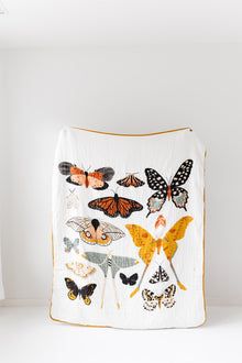 Butterfly Nursery, Oversized Throw Blanket, Big Kid Bed, Baby Blanket Gift, Cozy Couch, Oversized Blanket, Largest Butterfly, Cotton Gifts, Project Nursery