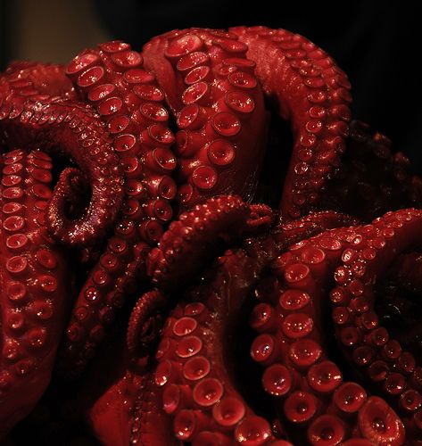 Over It, Octopus, Water, Flowers, Red