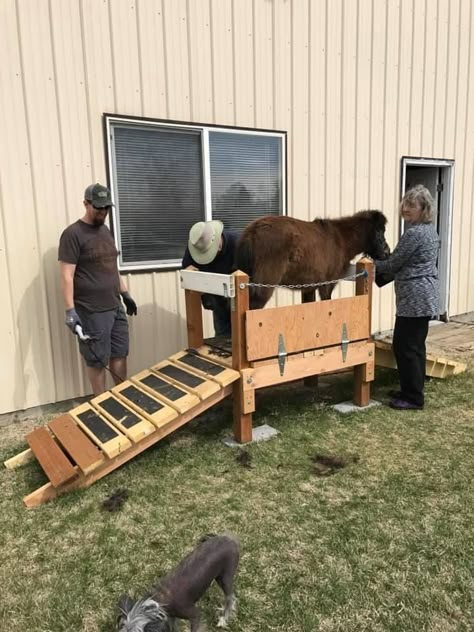 Mini Horse Barn, Mini Horse Cart, Miniature Horse Barn, Mini Horse Tack, Equine Stables, Livestock Shelter, Horse Farm Ideas, Diy Horse Barn, Horse Barn Ideas Stables