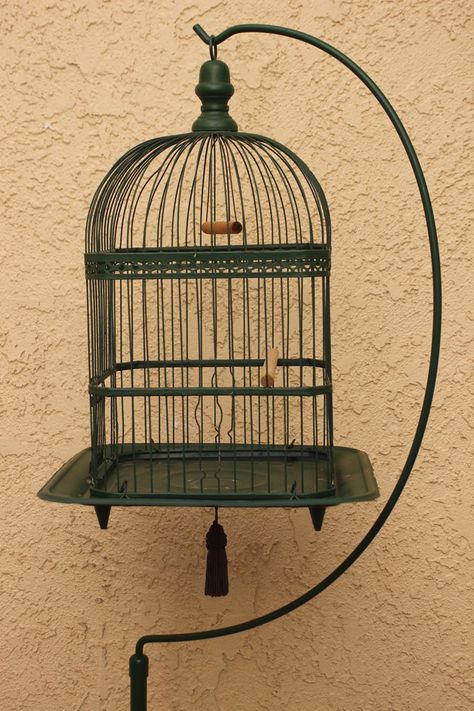 Antique Victorian Hendryx birdcage Bird Cage Photography, Victorian Bird Cage, Victorian Birdcage, Bird Cage Vintage, Antique Birdcage, Butterfly Cage, Antique Bird Cages, The Caged Bird Sings, Bird Cage Decor