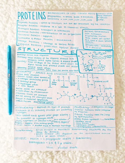 Protein Notes Biochemistry, Proteins Notes, Protein Biochemistry, Proteins Biology, Carbohydrates Biology, Biochemistry Major, Biological Molecules, Bio Notes, Biochemistry Notes