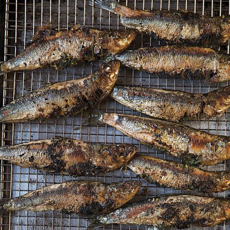 Grilled Gremolata-Stuffed Sardines Recipe | Saveur Stuffed Sardines, Pine Nuts Pasta, Medieval Feast, Grilled Sardines, Grilled Fish Recipes, Tapas Party, Sardine Recipes, Linguine Recipes, Spicy Salad