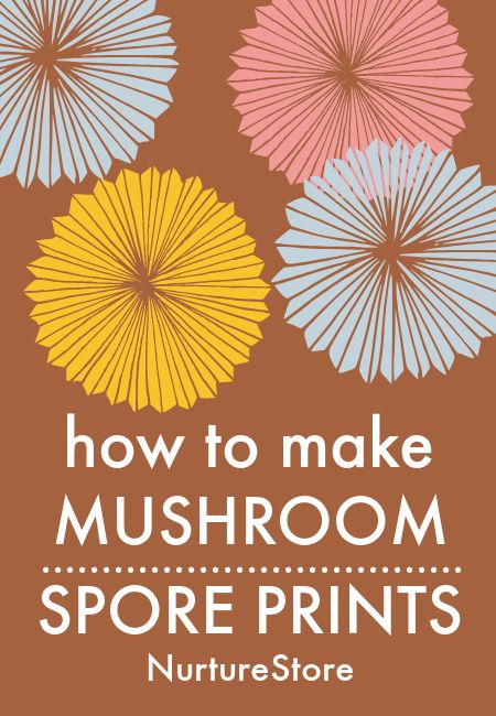 Mushroom Spore Print Art, How To Make Mushroom Spore Prints, Spore Print Art, Mushroom Spore Print, Spore Print, Mushroom Prints, Mushroom Print, Gardening Kids Activities, Mushroom Spores