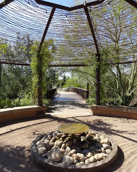 Desert Shade, Desert Backyard, Desert Botanical Garden, Vintage Arizona, Garden Screening, Shade Canopy, Desert Garden, Farm Design, Shade Structure