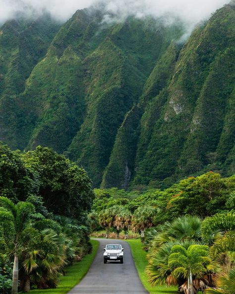 Oahu road trip via (@chelseakauai) Waimea Valley, Hawaii Landscape, Diy Life, Oahu Hawaii, Europe Destinations, Hawaii Travel, Kauai, Nature Travel, Travel Aesthetic