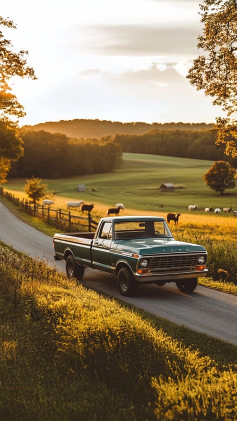 Classic green Ford truck driving on a scenic country road at sunset with cows grazing in the background. Chevy Trucks Aesthetic, Old Ford Ranger, Pickup Truck Aesthetic, Vintage Truck Photoshoot, Vintage Country Aesthetic, Dentside Ford, Ranch Truck, Truck Aesthetic, Old Truck Photography