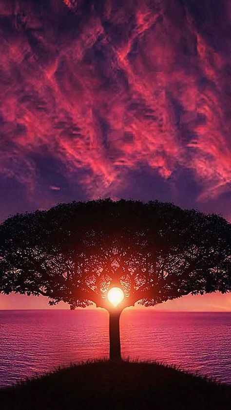 Sea Tree Purple Sky Nature #iPhone #5s #wallpaper Feeling Status, Charcoal Drawings, Sun Setting, Wallpaper Tumblr, Amazing Sunsets, Alam Yang Indah, Sunset Photos, Sunset Beach, Beautiful Sky