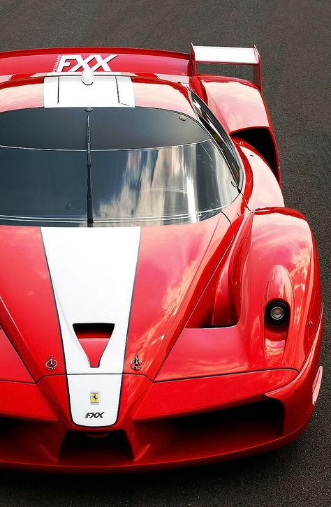 (°!°) 2005 Ferrari FXX Ferrari Fxx, Ferrari Car, Top Cars, Car Guys, Concept Cars, Cool Cars, Dream Cars, Ferrari, Sports Car