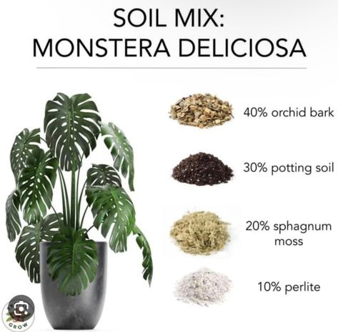 Monstera Soil, Monstera Plant Care, Household Plants, Plant Care Houseplant, Inside Plants, Growing Plants Indoors, Plant Decor Indoor, Monstera Plant, House Plants Decor