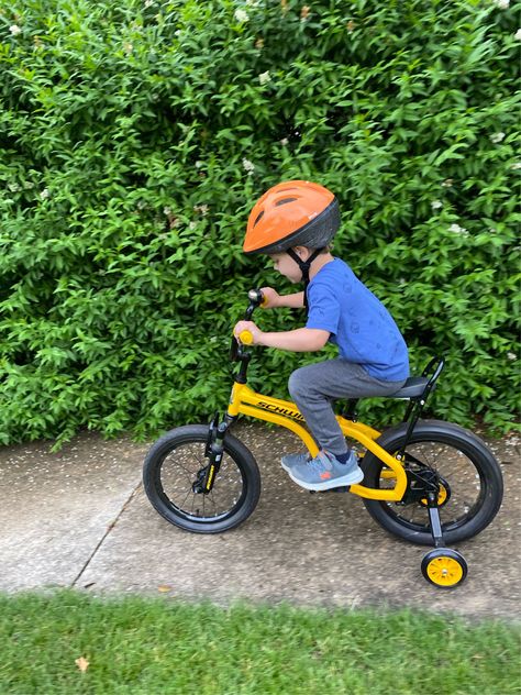 Schwinn Boys Bicycle Schwinn toddler boy girl bicycle Follow my shop @stefaniejean_ on the @shop.LTK app to shop this post and get my exclusive app-only content! #liketkit #LTKfamily #LTKSeasonal #LTKkids @shop.ltk https://liketk.it/3Hfjl Bayshore Tampa, Schwinn Bicycles, Blonde Kids, Boy Bike, Bike Aesthetic, Kids Bicycle, Small Boy, Bicycle Girl, Dream Board