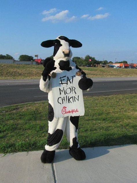 the Chick-Fil-A cow is throwing the C. Chik Fil A Cow, Chick Fa La, Eat Mor Chikin, Cow Costume, Horse Costumes, Edgy Makeup, A Cow, Cute Costumes, Chick Fil A