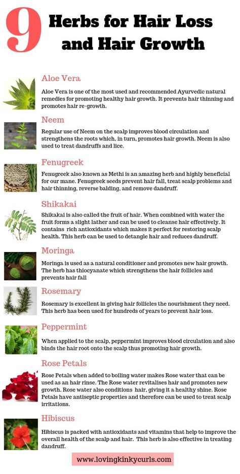 Herbs For Hair Growth, Herbs For Hair, Prevent Hair Fall, Stinging Nettle, Ayurvedic Hair, Hair Care Regimen, Plant Nutrients, Promote Healthy Hair Growth, Natural Hair Tips