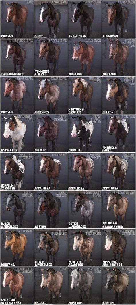 Rdr2 Horses Map, Rdr2 100% Completion Map, Missouri Fox Trotter Horse Rdr2, Horse Games Online, Rdr2 Horse Breeds, Horseshoe Overlook Rdr2, Arthur Morgan Riding Horse, Rdr2 Online Horses, Gene Beau Finley Rdr2