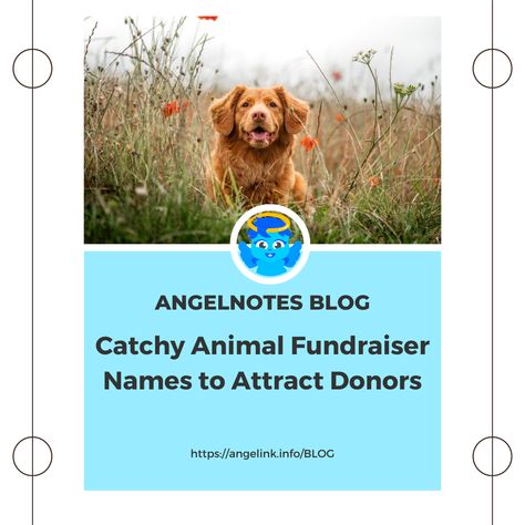 Have an animal that you want to raise money for? AngeLink can help. Here's a article about some catchy animal fundraiser names to attract donors! click or tap the posts to read more! #AngeLink #AngeLove #BlogPost Animal Fundraiser, Animal Shelter Fundraiser, Animal Rescue Fundraising, Dog Phrases, Dog Fundraiser, Foster Animals, Different Types Of Animals, Pet Organization, Fundraising Event