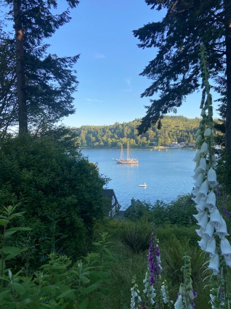 Stranded On An Island Aesthetic, Bainbridge Island Aesthetic, Washington Beach Aesthetic, Stranded Island Aesthetic, Landscaping Painting, Pnw Summer, Washington Summer, Seattle Houseboat, Pnw Aesthetic