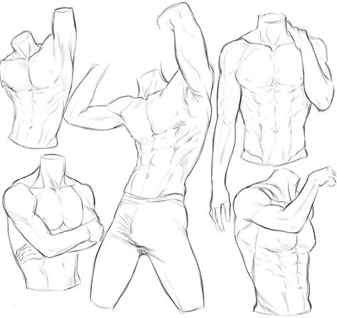 Male Flexing Pose Reference, Men’s Back, Guy Crouching, Muscle Man Drawing, Abs Drawing Reference, Male Anatomy Reference Drawing, Drawing Abs, Abs Drawing, Men Anatomy