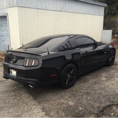 2011 Mustang GT. Blacked out 2011 Mustang, Mustang 2010, 2018 Mustang Gt Black, 2010 Mustang Gt, 2012 Mustang Gt, 2011 Mustang Gt, 2012 Mustang, 2014 Mustang Gt, Ford Mustang 2015