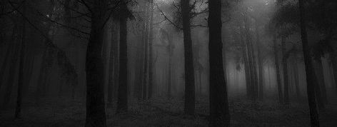 Wood Banner, Light Grunge, Wattpad Background, Dark Forest Aesthetic, Black Banner, Twitter Header Pictures, Fantasy Island, Dark Grunge, Dark Nature Aesthetic