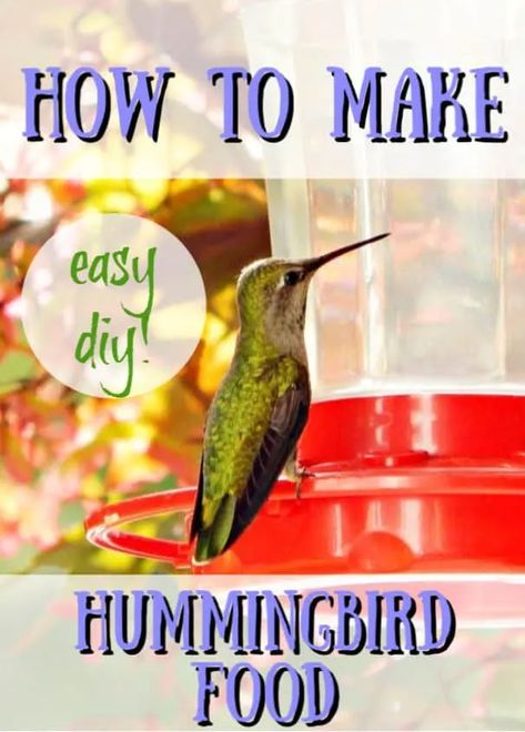 How to Make Hummingbird Nectar- DIY don't buy! - Crafty Little Gnome Hummingbird Food Diy, Hummingbird Food Recipe, Make Hummingbird Food, Homemade Hummingbird Food, Hummingbird Nectar Recipe, Diy Hummingbird Feeder, Hummingbird Food, Hummingbird Nectar, Hummingbird Feeder