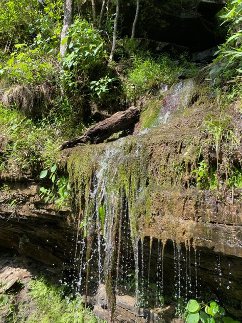 hiked devil’s den trail at devil’s den state park in winslow, arkansas! hiking trail, midwest travel, summer adventure, northwest arkansas travel, arkansas travel guide. Devils Den State Park Arkansas, Hiking In Arkansas, Lost Valley Trail Arkansas, Camping In Arkansas State Parks, Forrest City Arkansas, Arkansas Travel, Northwest Arkansas, Midwest Travel, Travel Summer