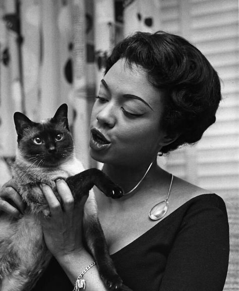 Kitten Names, Vintage Black Glamour, Black Hollywood, Old Cats, Black Community, Vintage Cat, Black Culture, Photography Lovers, Cat Photo