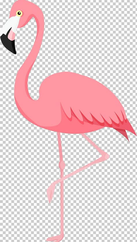 Flamingo Pink App Icons, Flamingo Drawing, Instagram Logo Transparent, Greater Flamingo, Flamingo Vector, Flamingo Pictures, Bird Png, Happy Birthday Illustration, Flamingo Illustration