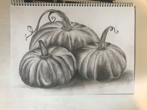 Realistic Pumpkin Drawing, Pumpkin Paintings, Pumpkin Drawing, Color Pencil Sketch, Middle School Art Projects, How To Shade, Pencil Shading, Charcoal Art, Pumpkin Art