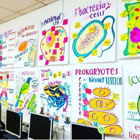 Biology Charts For Classroom, Middle School Biology Classroom, Cells Anchor Chart, Cell Theory Anchor Chart, Life Science Anchor Charts, Plate Tectonics Anchor Chart, Biology Anchor Charts, Biology Classroom Decorations, Scientific Method Anchor Chart