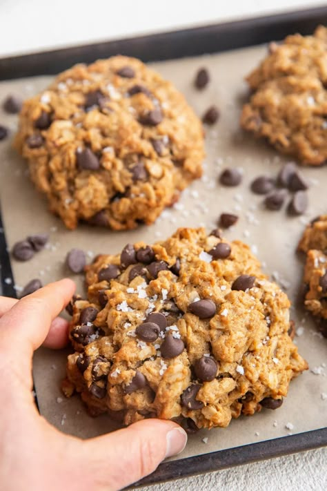 Oatmeal Raisin Cookies Healthy, Peanut Butter Oatmeal Chocolate Chip, Peanut Butter Oatmeal Chocolate Chip Cookies, Resepi Biskut, Biscuits Diététiques, Peanut Butter Oatmeal Cookies, Oatmeal Chocolate Chip, Lost 100 Pounds, Healthy Cookie Recipes